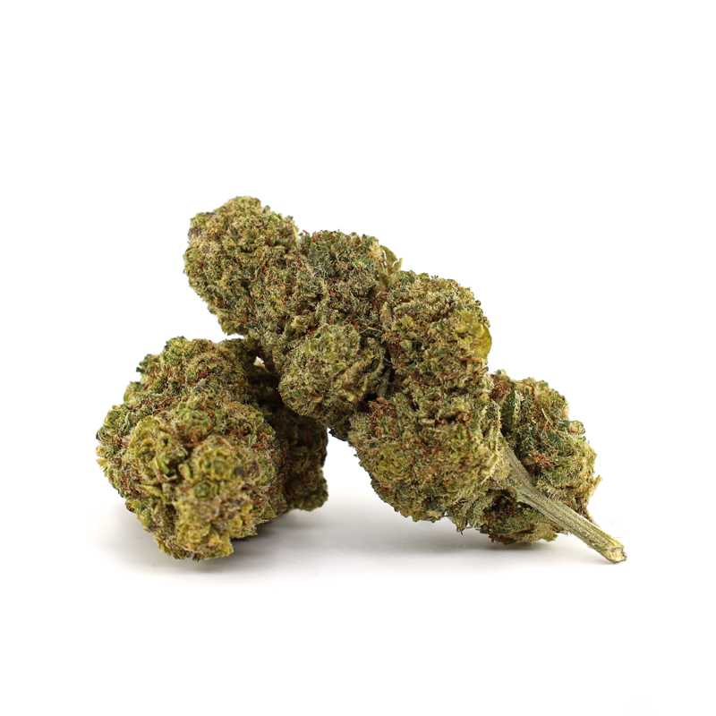 Blue Mango 20% 10-OH flores (1g-100g)