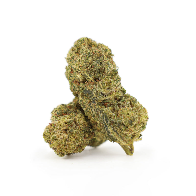 Flying Dutchman 25% THCA Flores
