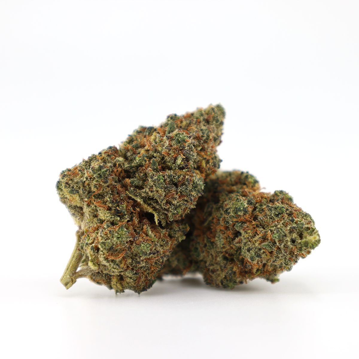 Gaz Bomb 30% THCO Blüten