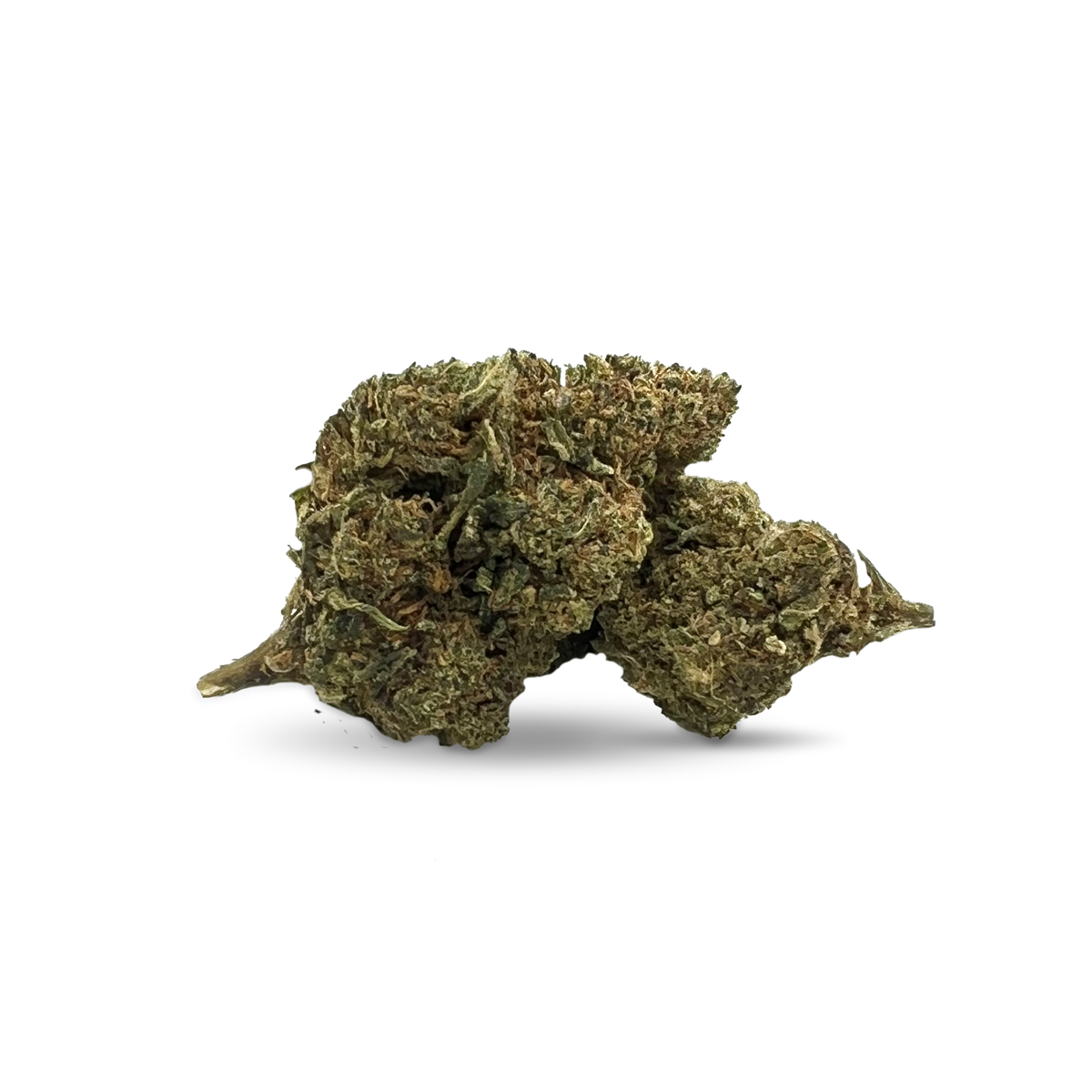 Mimosa 10% 10-OH Flores (1g-100g)