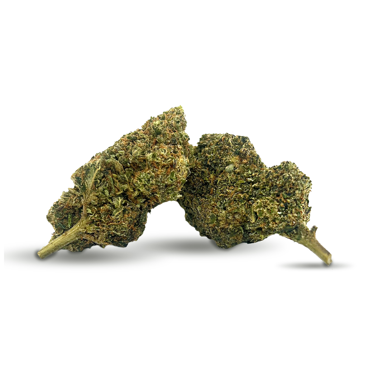 Mr. Nice 10% 10-OH Flores (1g-100g)