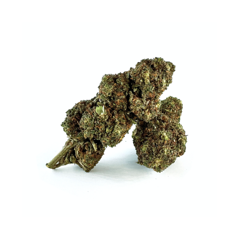 Melonade 31% THCA Flores (1g-100g)