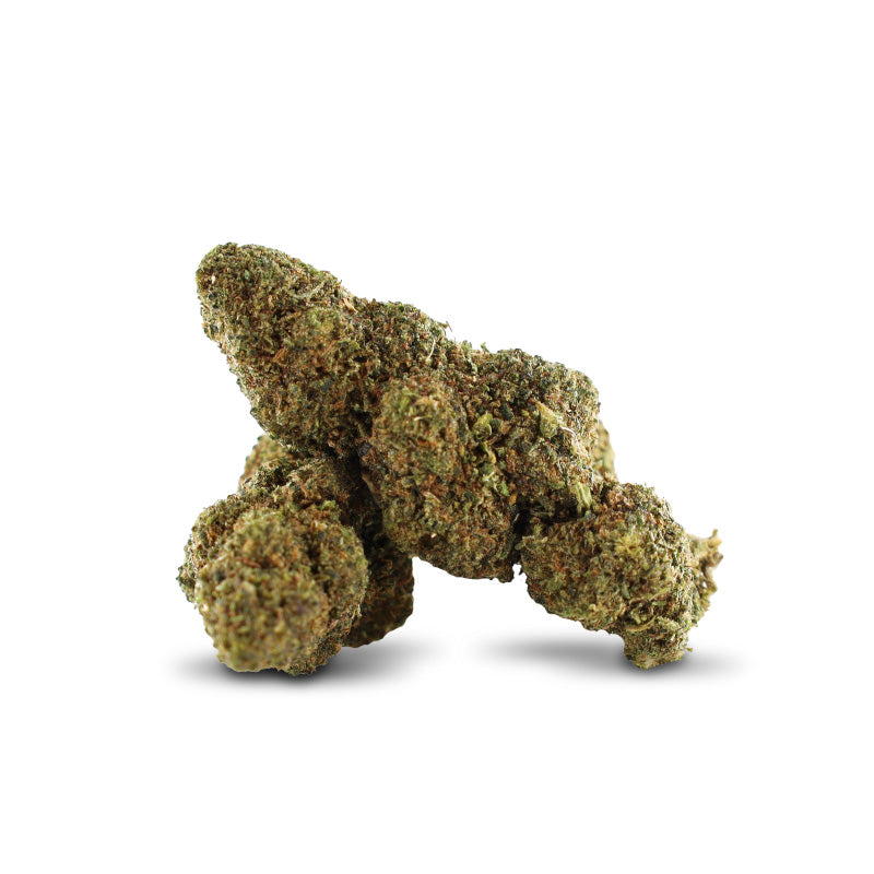 Early Girl 20% 10-OH Flores (1g-100g)