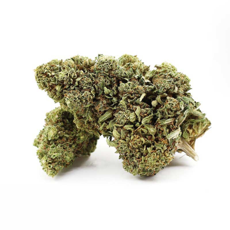GRAPE ZENZU THCA FLORES