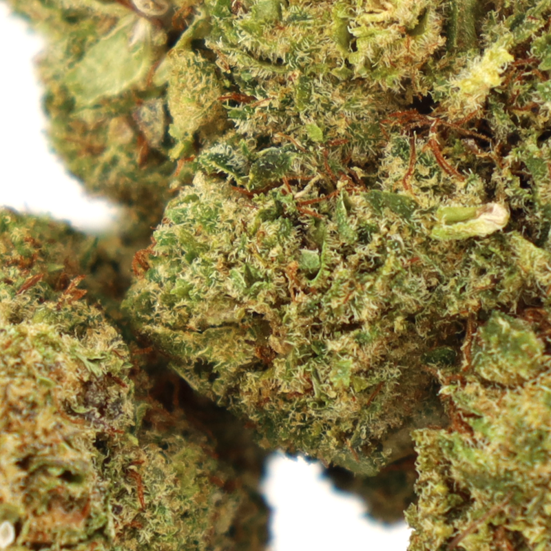 Honey Bun COOKIES Flores (1g-28g)