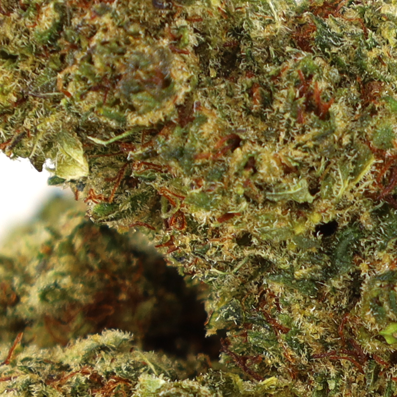 Ocean Beach COOKIES Flores (1g-28g)