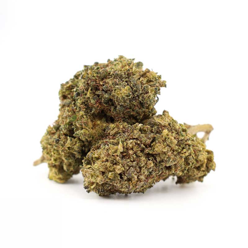 SLURRICAN IX THCA FLORES