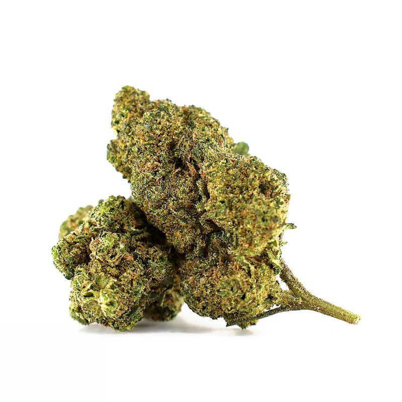 WHITE CHOCO SKITTLEZ THCA FLORES