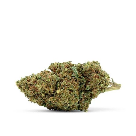 WAKE AND BAKE 30% FLOR 10-OH+ - alt