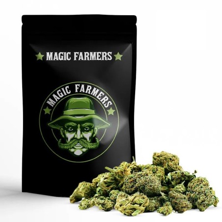 Small Buds 30% 10-OH+ | Mix Potente y Económico