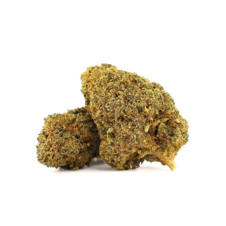WONDERLAND HAZE FLOR THCA - alt