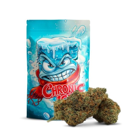 CHRONIC ICE FLOR DE THCA