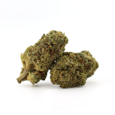 GODZILLA PUNCH FLOR THCA - alt