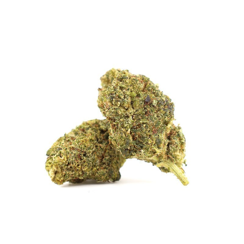PANNA COTTA FLOR THCA