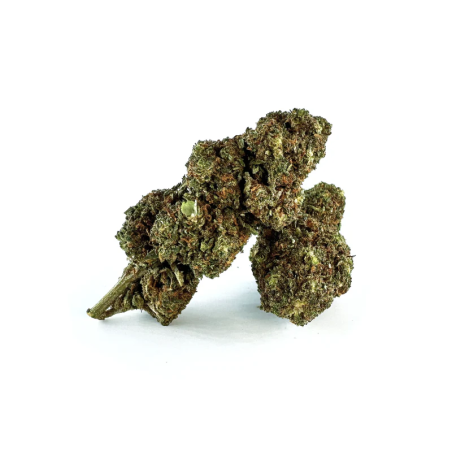 MELONADE FLOR THCA - alt
