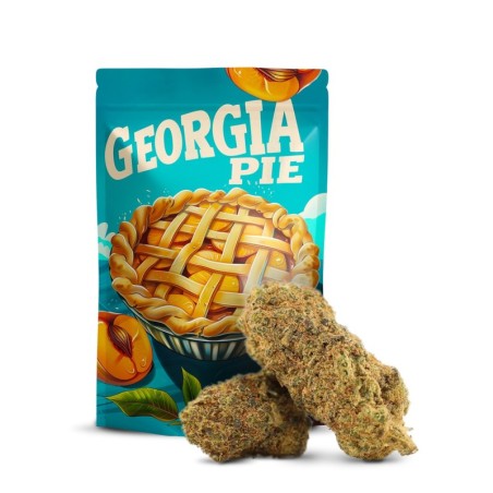 GEORGIA PIE FLOR THCA