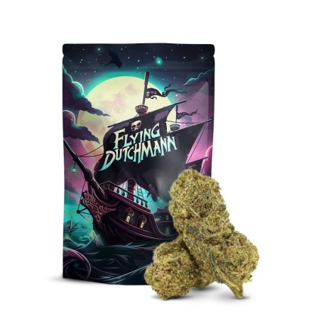 FLYING DUTCHMAN FLOR THCA