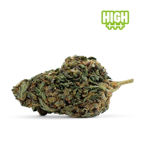 CHOCOLATA SKUNK 30% FLOR... - alt