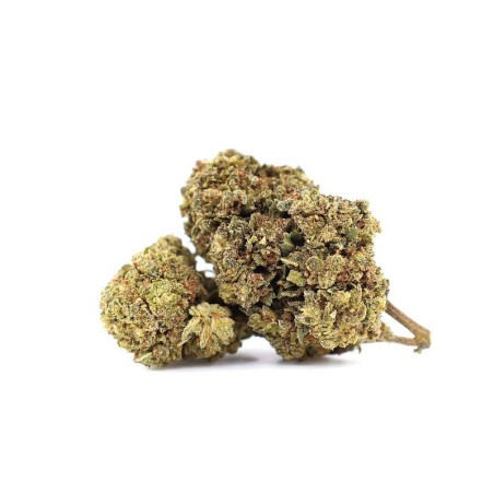 MR NICE 30% FLOR 10-OH+ - alt