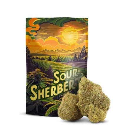 Sour Sherbert 10-OH+ | Flor Relaxante Premium