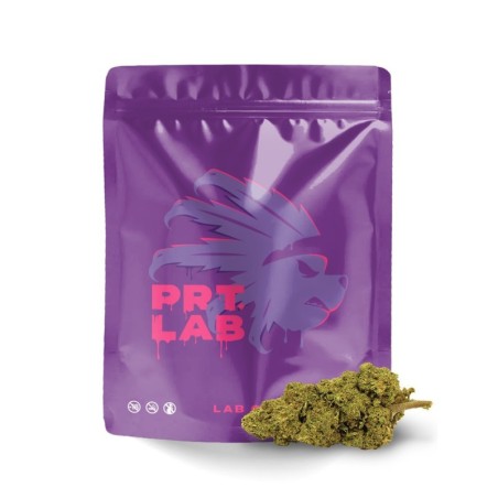 PURPLE LAB ONE FLOR PRT LAB