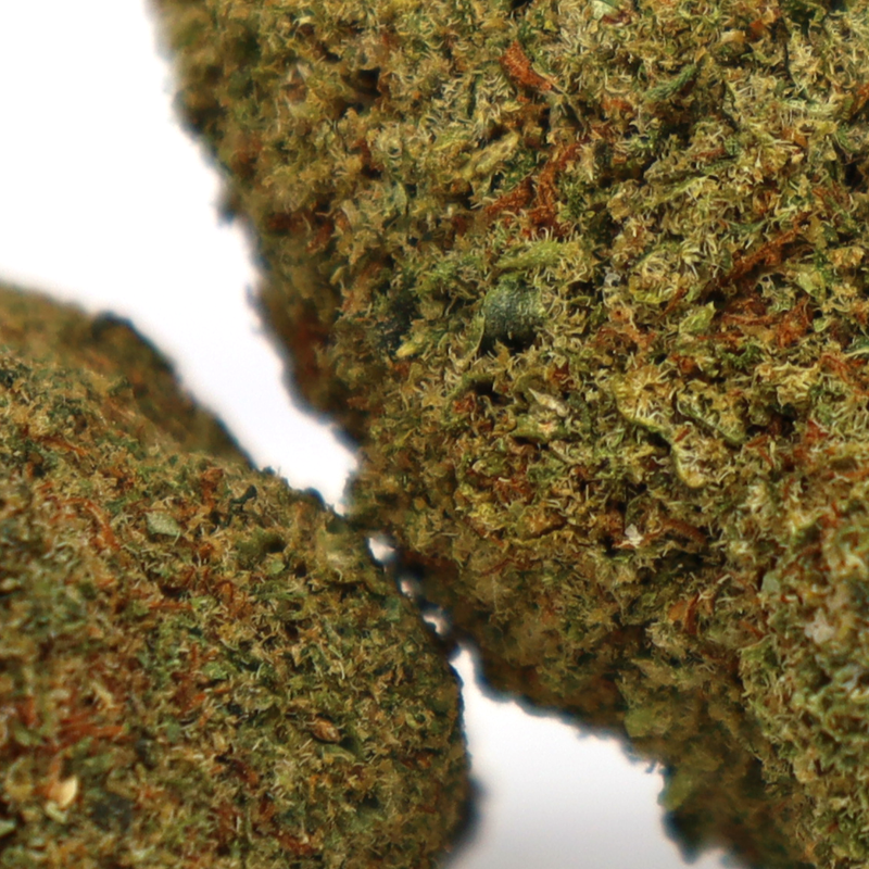 ADIOS MOTHER F*CKER! FLOR DE CBD COOKIES