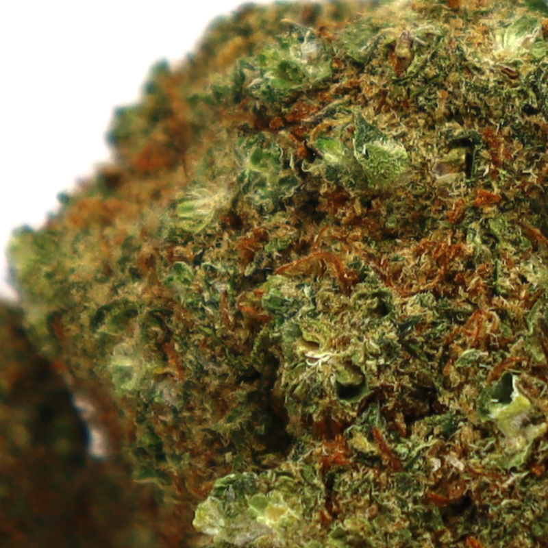 TRIPLE SCOOP FLOR DE CBD COOKIES