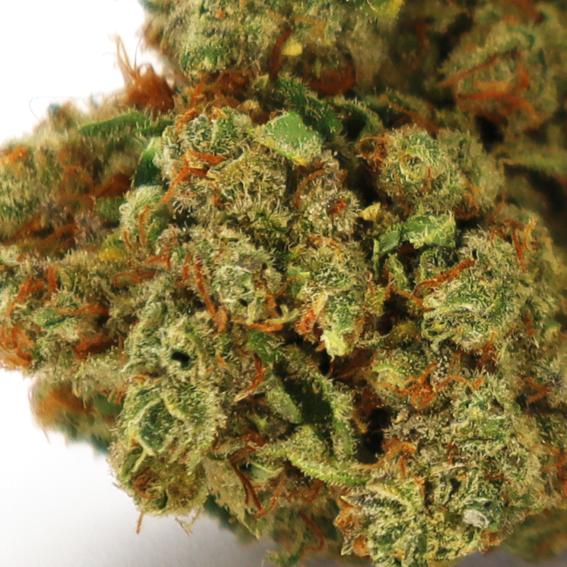 HAWAIIAN RAIN FLOR DE CBD COOKIES
