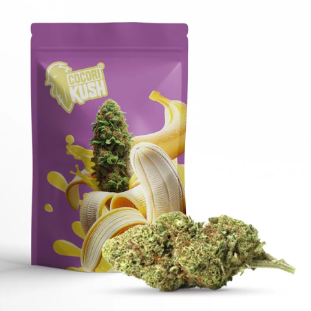 BANANA KUSH FLOR COCORIKUSH CBD