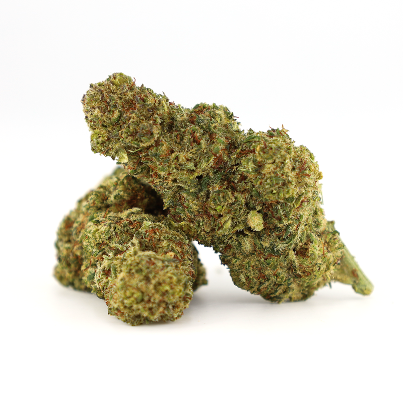 OCEAN BEACH FLOR COOKIES