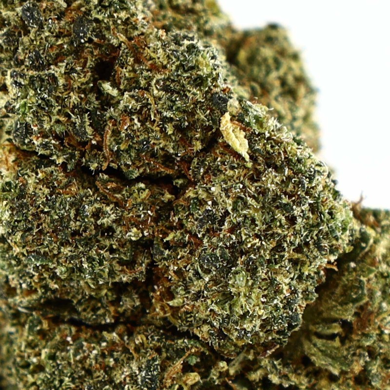 LAUGHING GAS FLOR COOKIES