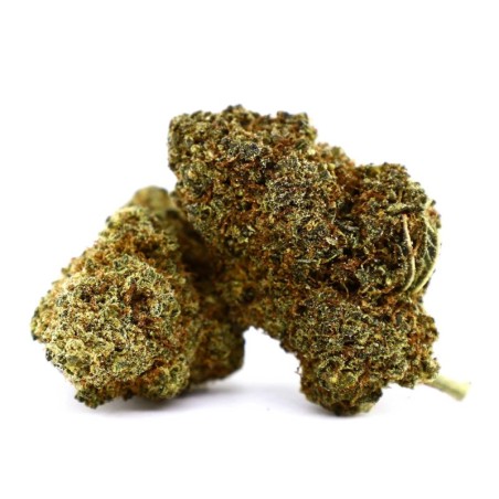 cheetah piss FLOR cookies - alt