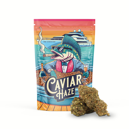 copia de CAVIAR HAZE 30% FLEUR MAGIC SAUCE