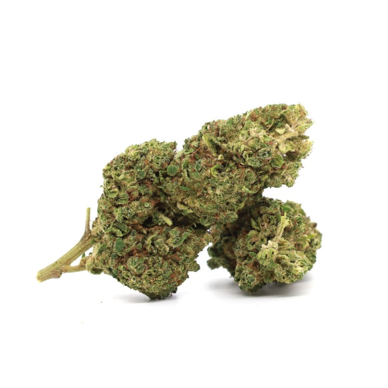 B52 30% 10-OH+ | Flor Intensa de Efectos Profundos