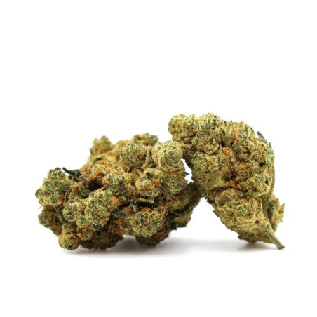 CHAMPAGNE HAZE FLOR THCA - alt