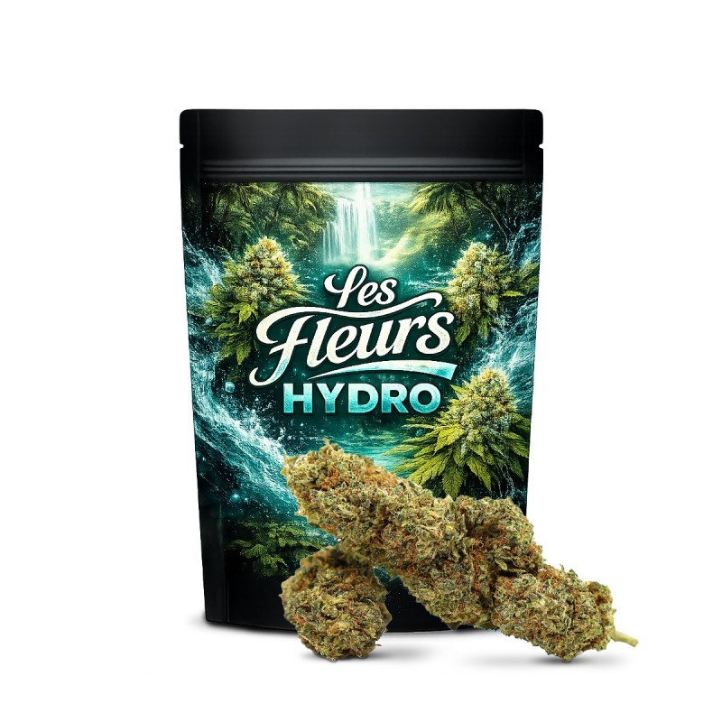 JEALOUSY FLORES THCA