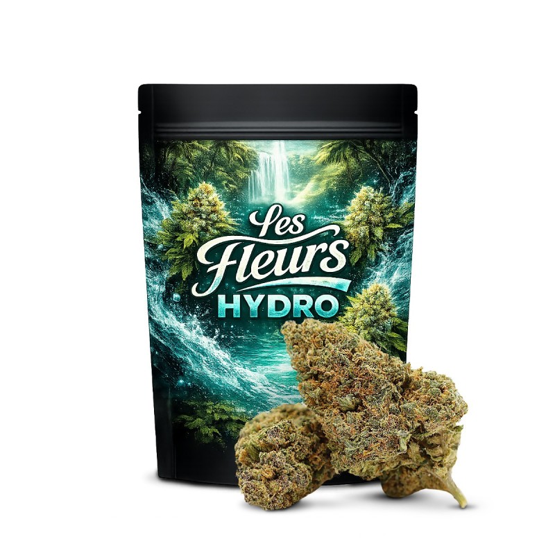 KING LOUIS FLORES THCA