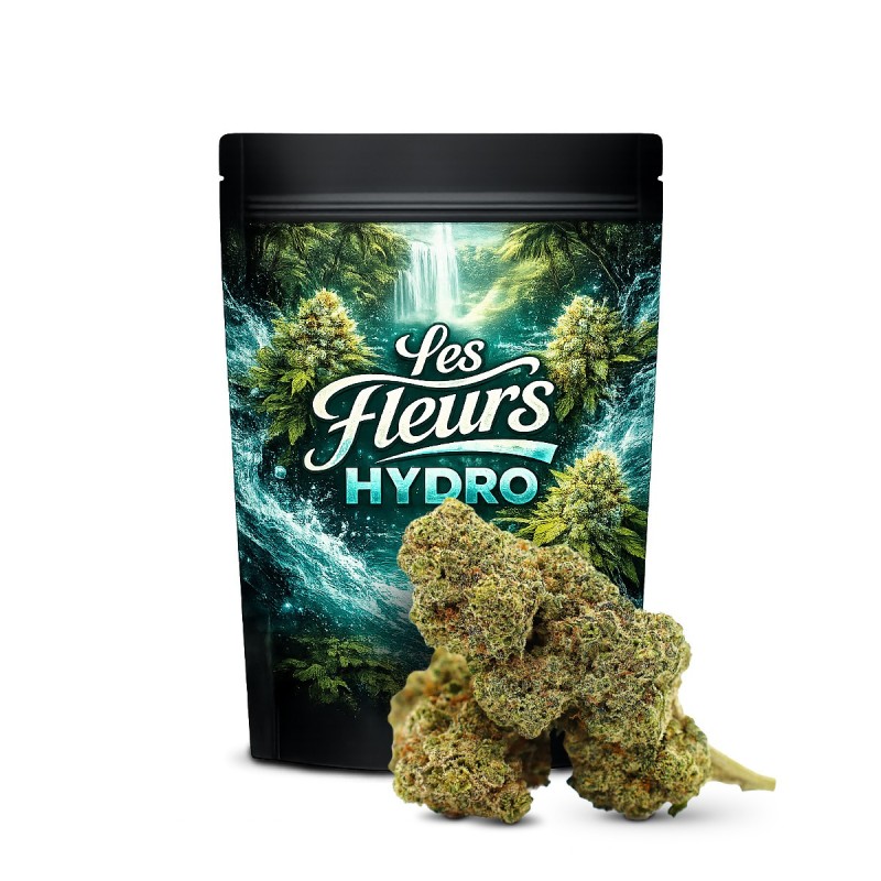 GAZ CANDY FLORES THCA