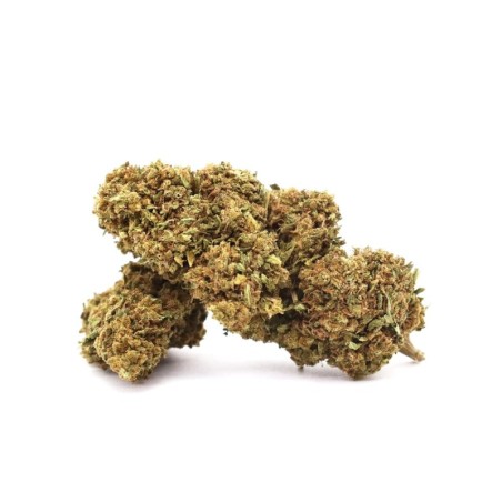 POWER PLANT 28% FLOR DE CBD