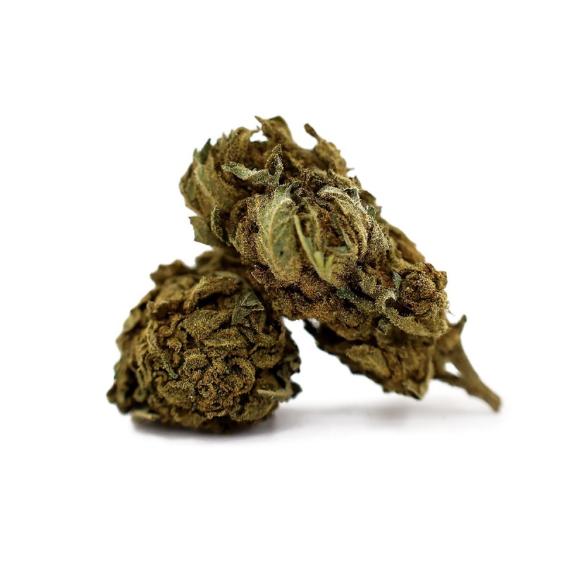 ALASKAN THUNDER FUCK 30% 10-OH+ | Flor Potente Premium