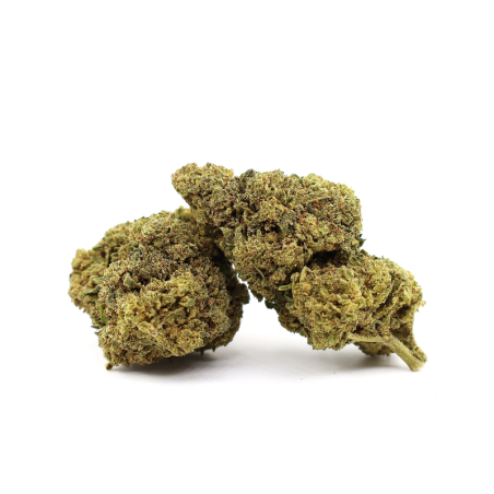 Flor M.A.C 30% 10-OH+ | Flor Premium Relaxante
