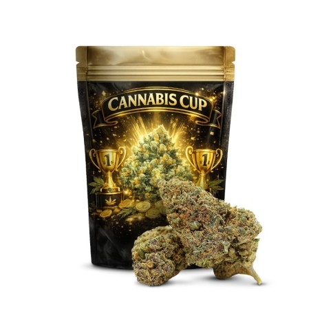 GELATO 41 FLOR DE THCA