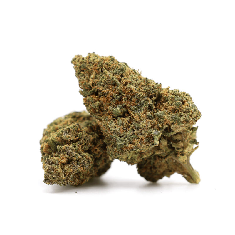 GELATO 41 FLOR DE THCA