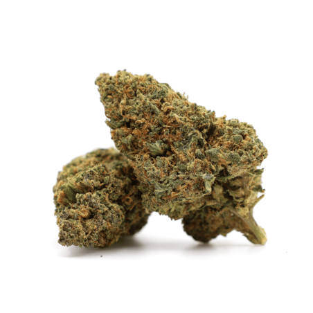 GELATO 41 FLOR DE THCA - alt