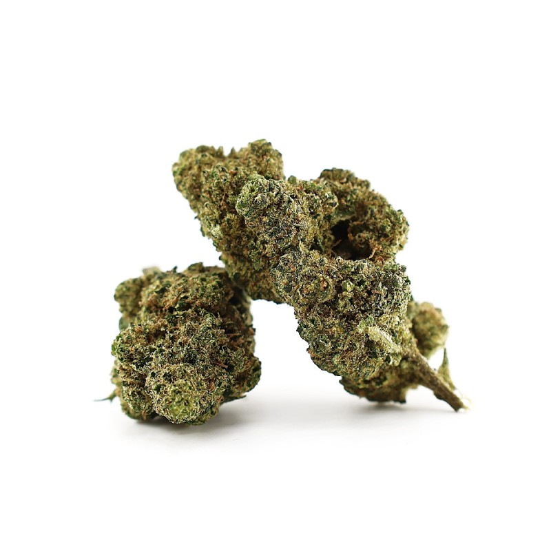 LA CHUPACABRA 50% FLOWER MAGIC SAUCE