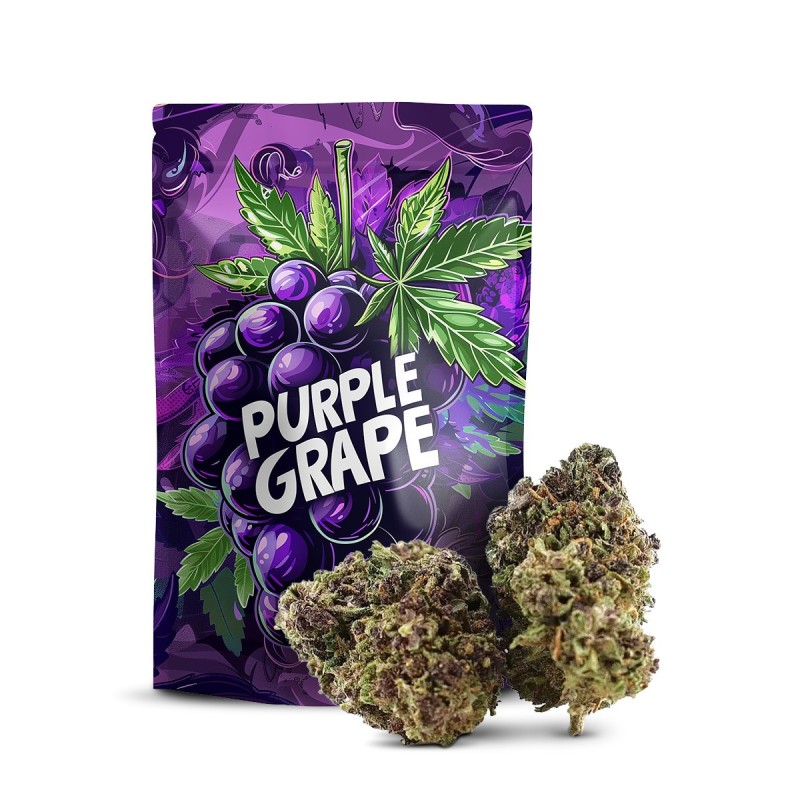 Purple Grape 30% 10-OH+ | Flor Potente con Aromas de Uva