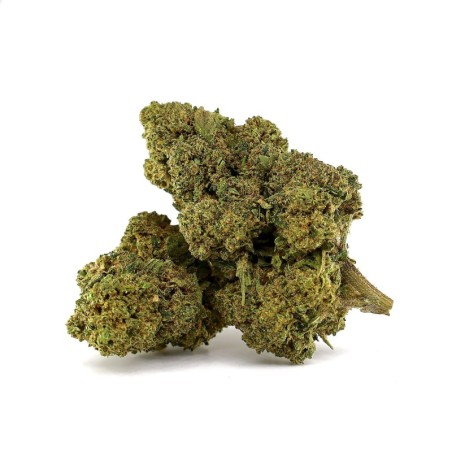 AMNESIA 50% FLORES CBD