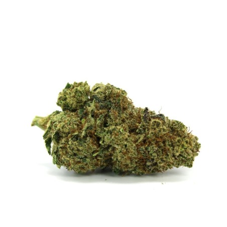 GMO COOKIES 50% FLORES CBD