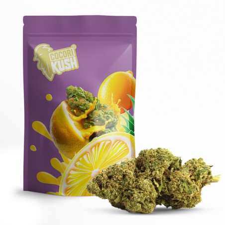 AMNESIA 50% FLORES CBD