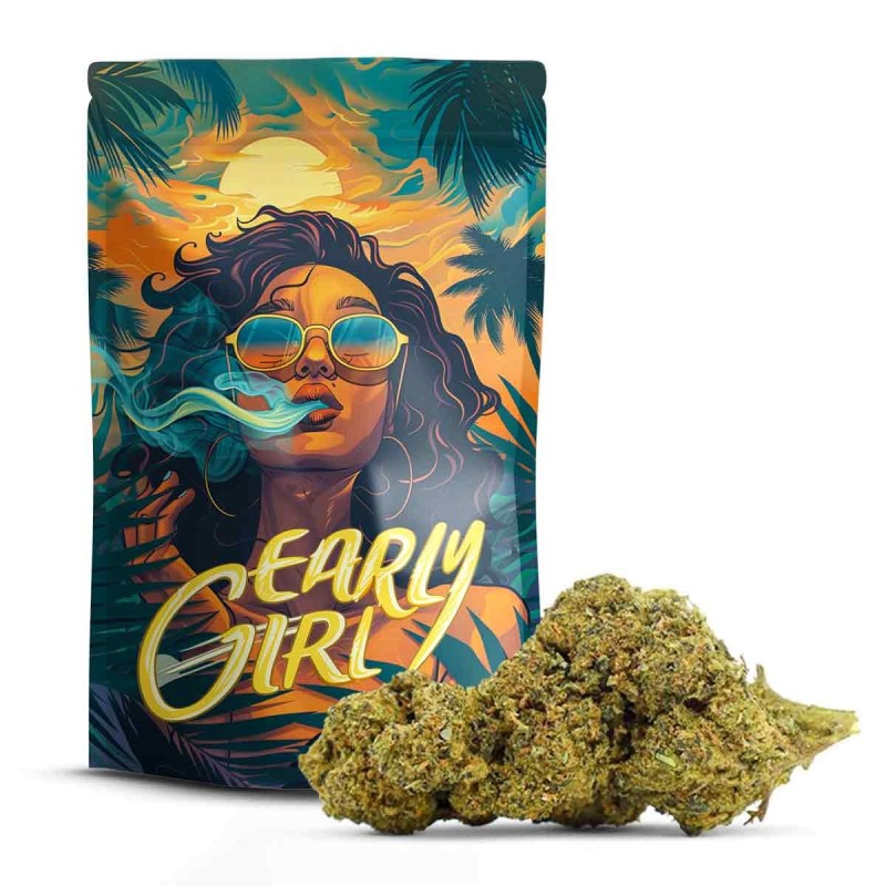 Early Girl 10-OH+ | Flor de CBD Nueva Generación